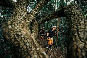 BIB: 
                            <button type="button" onclick="openModal(25393936)" class="btn btn-primary btn-sm float-right btn-popup" data-toggle="modal" data-target=".modal-high-quality">
                        <i class="fas fa-shopping-cart"></i> Add to Cart
                    </button>
                                            <button type="button" onclick="isThisMe(25393936, true)" class="btn btn-success btn-sm float-right btn-popup btn-isme hidden" data-toggle="tooltip" data-placement="bottom" title="นี่คือรูปของคุณใช่ไหม คลิกที่นี่เพื่อเอาเข้าอัลบั้ม">
                        <i class="fas fa-plus"></i> Add to album
                    </button>
                    <button type="button" onclick="isThisMe(25393936, false)" class="btn btn-warning btn-sm float-right btn-popup btn-isnotme hidden">
                        <i class="fas fa-ban"></i> Remove from album
                    </button>